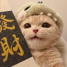 Ảnh đại diện người dùng